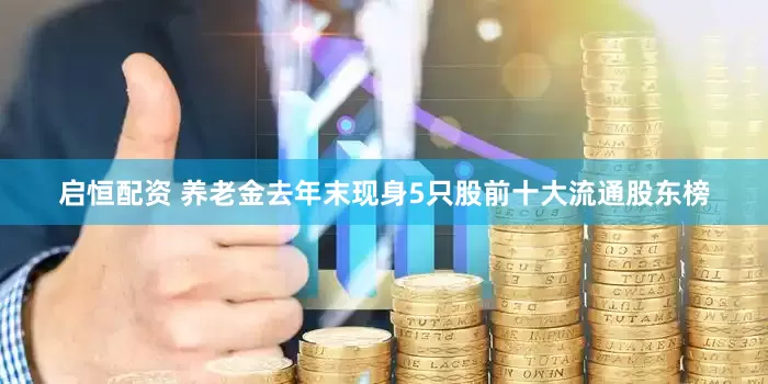 启恒配资 养老金去年末现身5只股前十大流通股东榜
