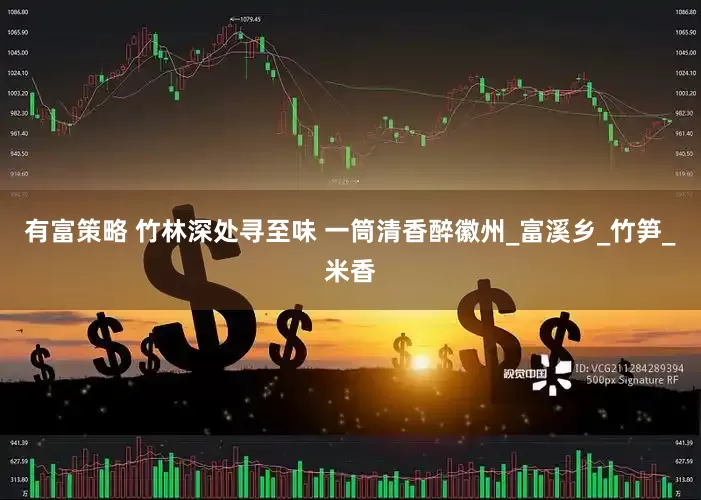 有富策略 竹林深处寻至味 一筒清香醉徽州_富溪乡_竹笋_米香