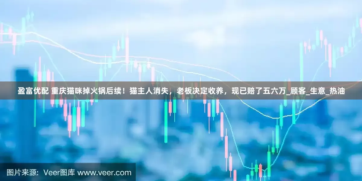 盈富优配 重庆猫咪掉火锅后续！猫主人消失，老板决定收养，现已赔了五六万_顾客_生意_热油