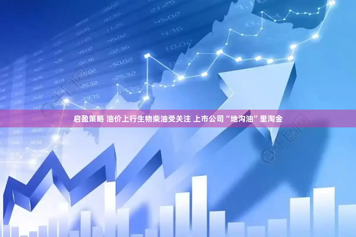 启盈策略 油价上行生物柴油受关注 上市公司“地沟油”里淘金