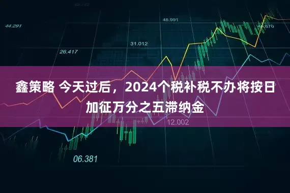 鑫策略 今天过后，2024个税补税不办将按日加征万分之五滞纳金