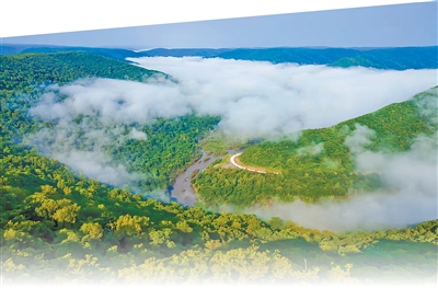 顺发配资 有个林区科技小院（美丽中国·科技小院探生态）