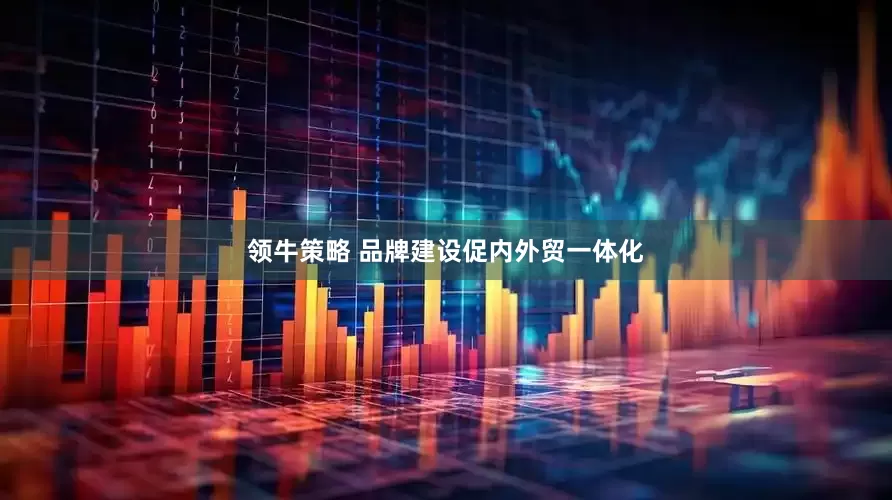 领牛策略 品牌建设促内外贸一体化